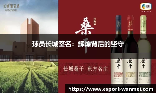 完美电竞官方网站